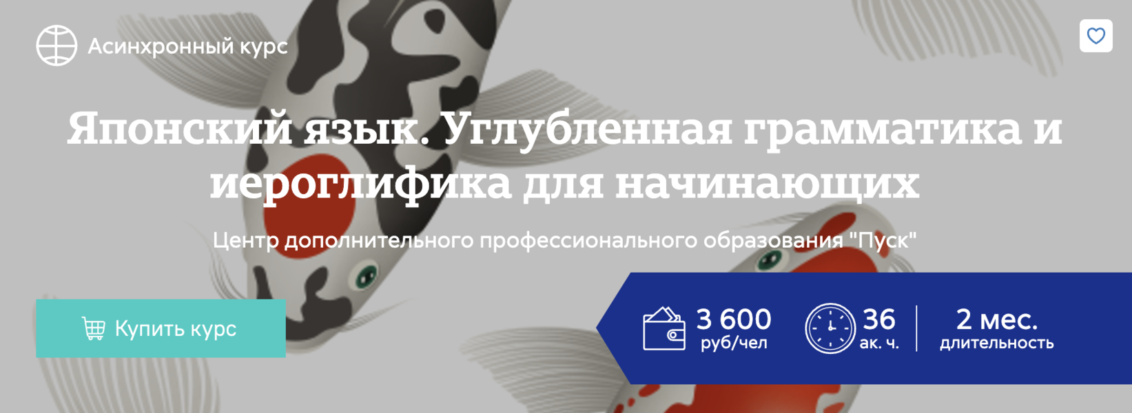 [Анастасия Степанова] Японский язык. Углубленная г_0.png